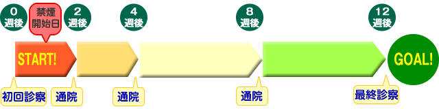 禁煙外来の流れ